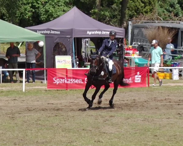 Reitturnier Boock 2019