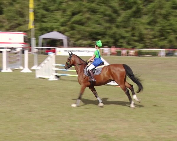 Reitturnier Boock 2019