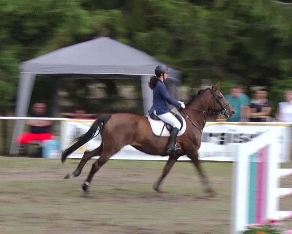 Jezdecký turnaj Boock 2019