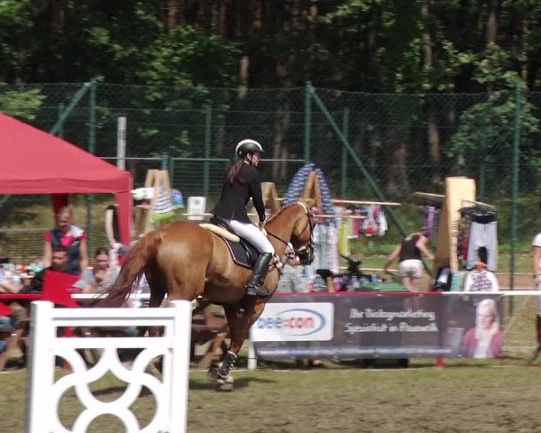 Reitturnier Boock 2019
