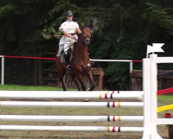 Reitturnier Boock 2019