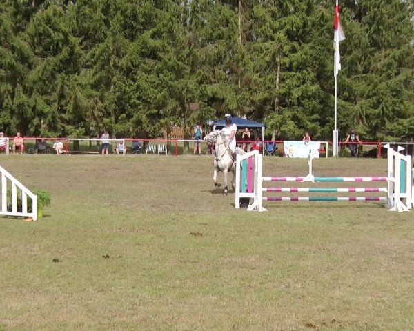 Reitturnier Boock 2019