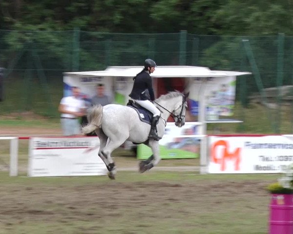 Reitturnier Boock 2019