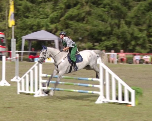 Reitturnier Boock 2019