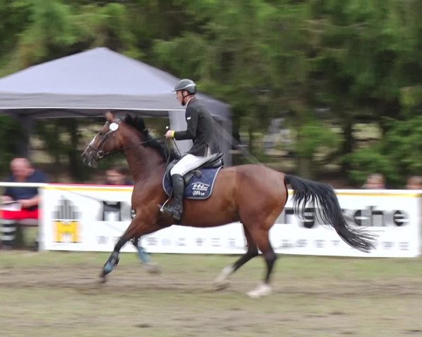 Reitturnier Boock 2019