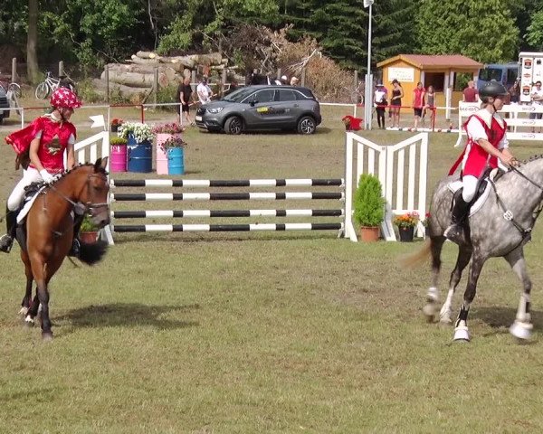 Reitturnier Boock 2019