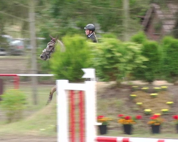 Reitturnier Boock 2019