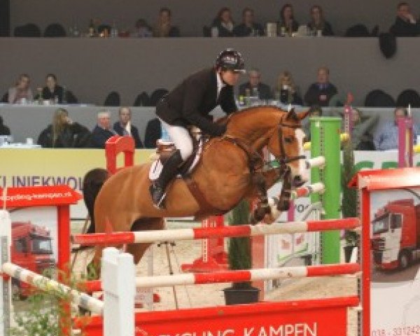 jumper Sacramento (Danish Warmblood, 2000, from Leendert)