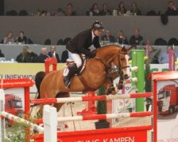 jumper Sacramento (Danish Warmblood, 2000, from Leendert)