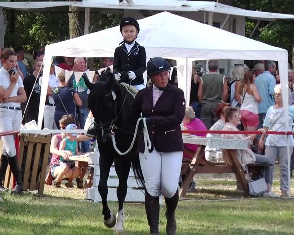 Reitturnier Boock 2019