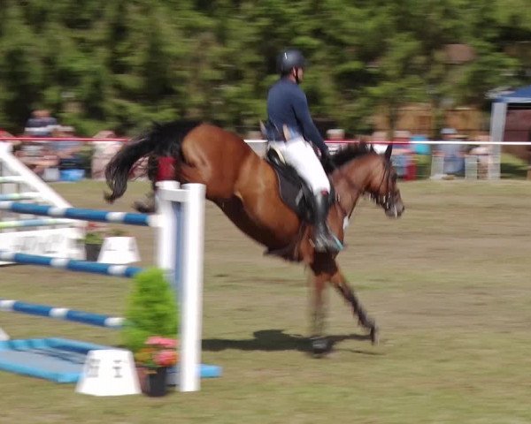 Reitturnier Boock 2019