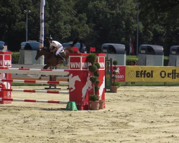 Westfalen-Woche 2019