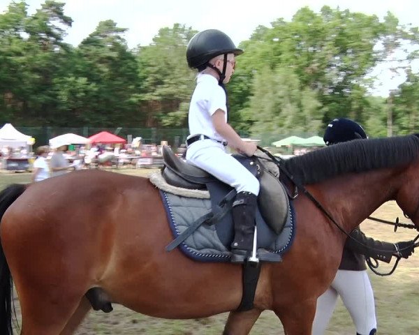 Reitturnier Boock 2019