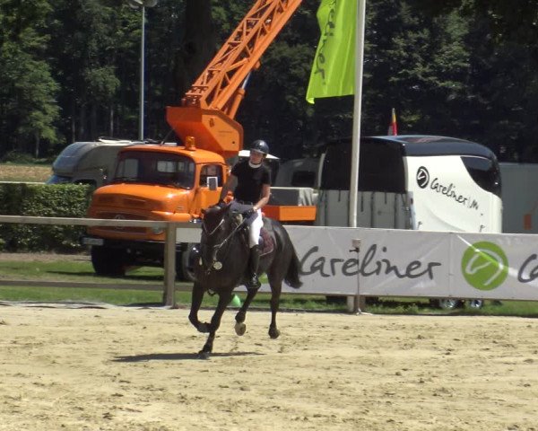 Reitturnier Münster-Handorf 2019