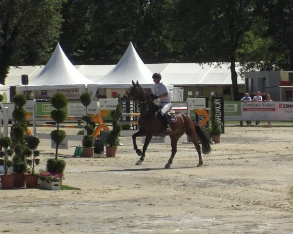 Reitturnier Münster-Handorf 2019