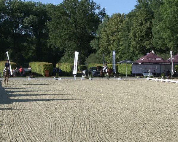 Reitturnier Münster-Handorf 2019