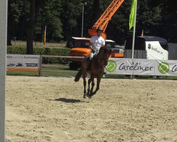 Westfalen-Woche 2019