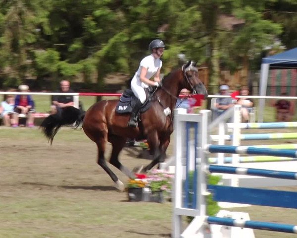 Reitturnier Boock 2019