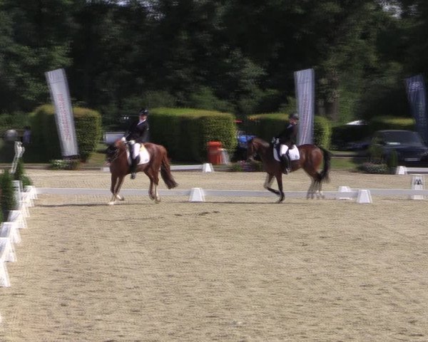 Westfalen-Woche 2019