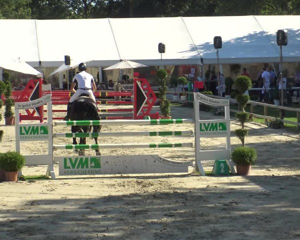 Reitturnier Münster-Handorf 2019