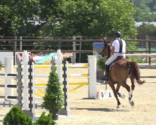 Reitturnier Bättwil 2019