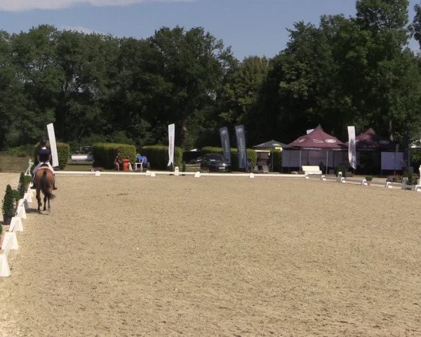 Westfalen-Woche 2019