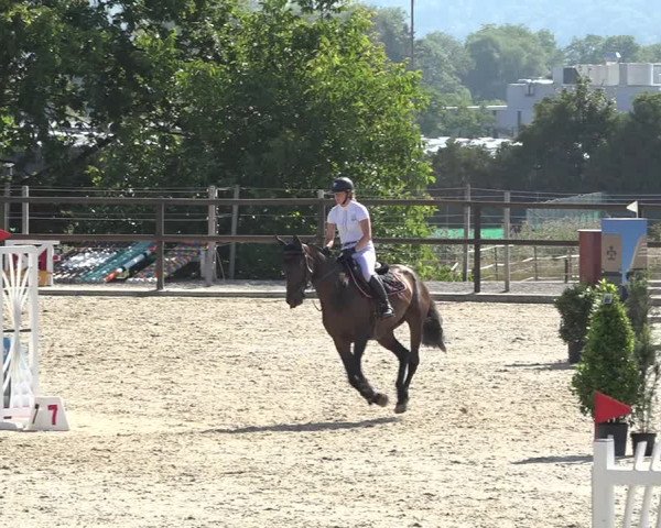 Reitturnier Bättwil 2019