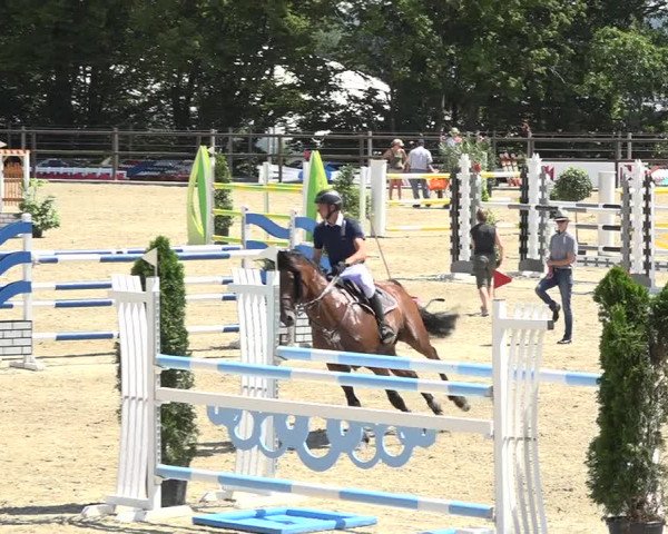 Reitturnier Bättwil 2019
