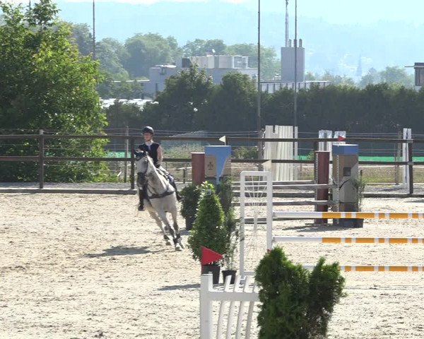 Reitturnier Bättwil 2019