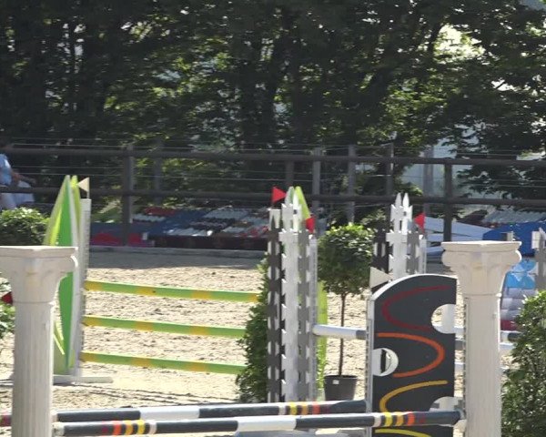 Reitturnier Bättwil 2019