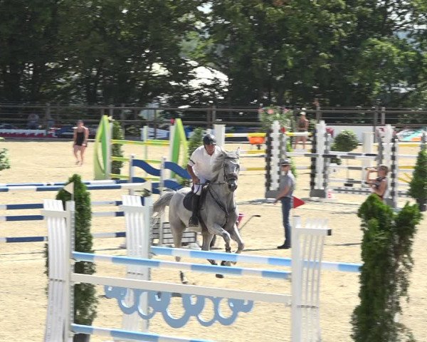 Reitturnier Bättwil 2019