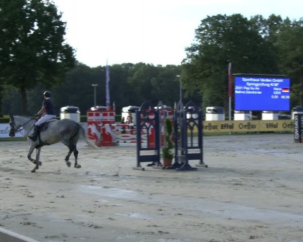 Reitturnier Münster-Handorf 2019