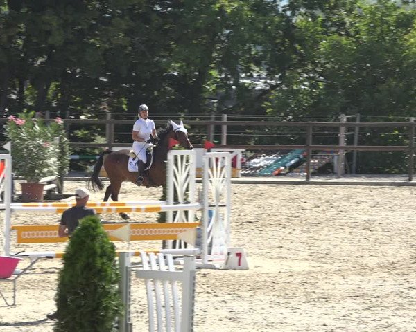 Reitturnier Bättwil 2019