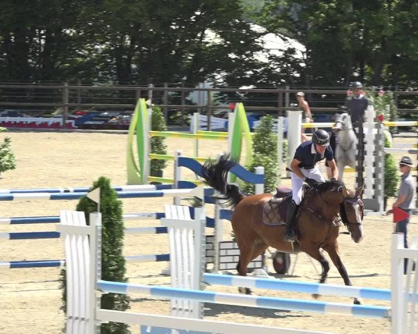 Reitturnier Bättwil 2019