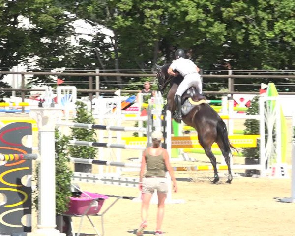 Reitturnier Bättwil 2019