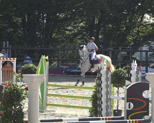 Reitturnier Bättwil 2019