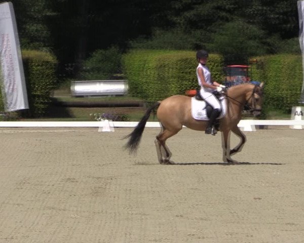 Reitturnier Münster-Handorf 2019