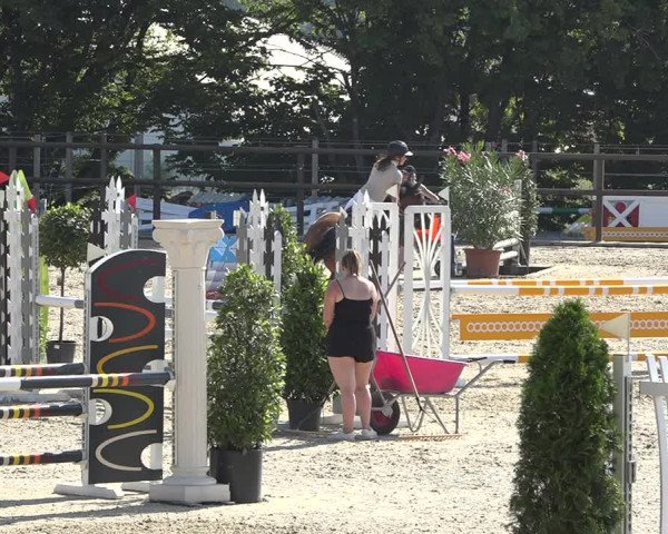 Reitturnier Bättwil 2019