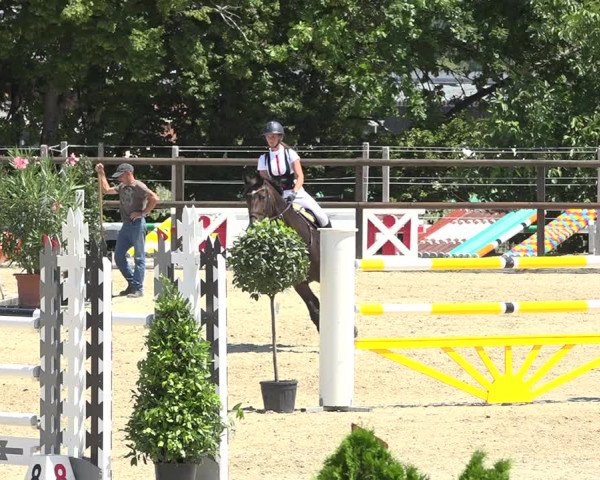 Reitturnier Bättwil 2019
