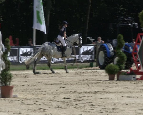 Reitturnier Münster-Handorf 2019