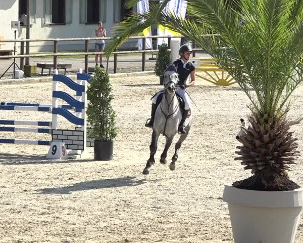 Reitturnier Bättwil 2019