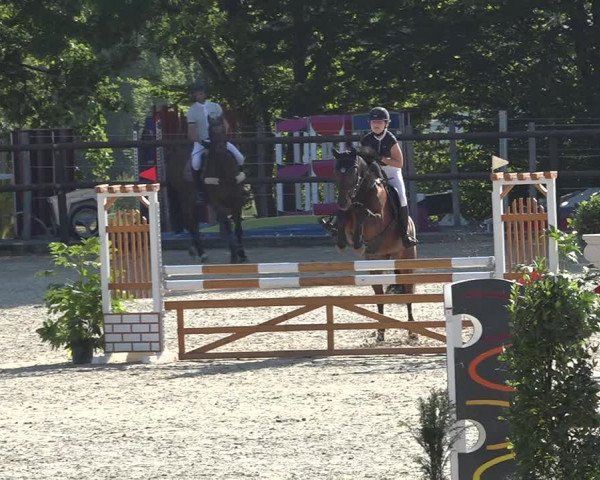 Reitturnier Bättwil 2019