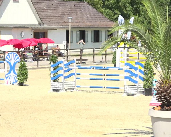 Reitturnier Bättwil 2019