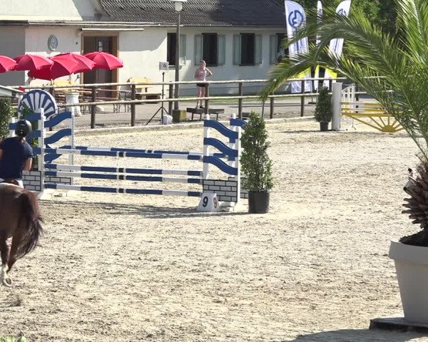 Reitturnier Bättwil 2019