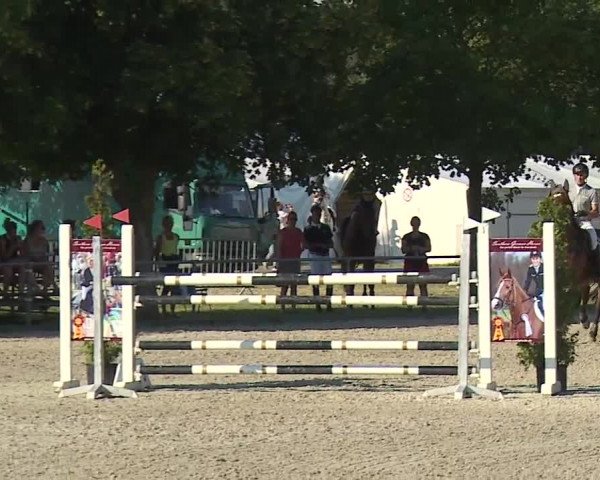 Reitturnier Rot am See- Musdorf 2019