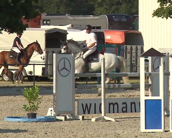 Reitturnier Rot am See- Musdorf 2019