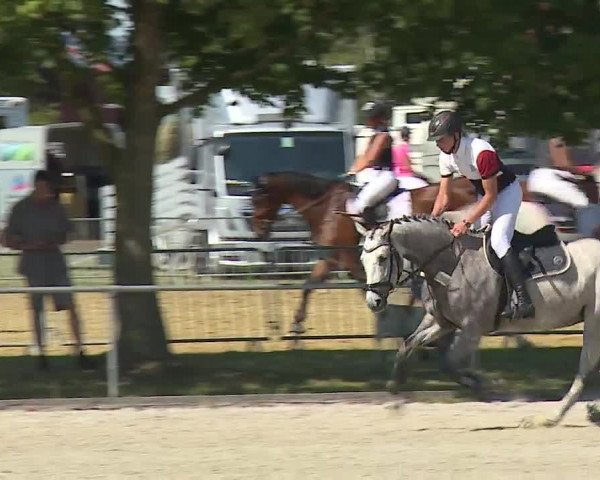 Reitturnier Rot am See- Musdorf 2019