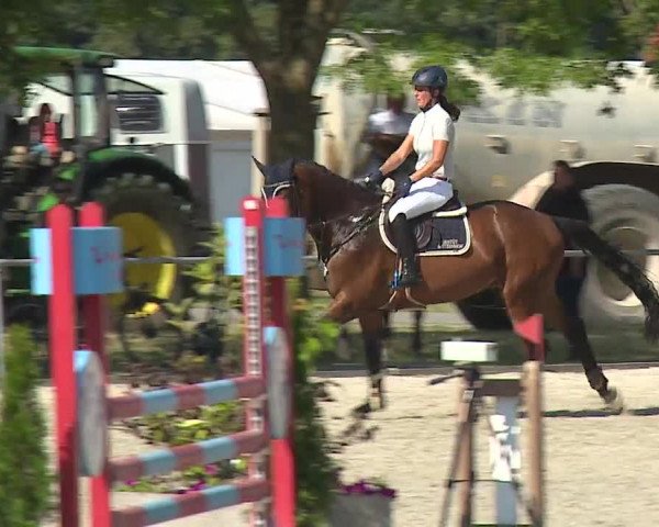 Reitturnier Rot am See- Musdorf 2019