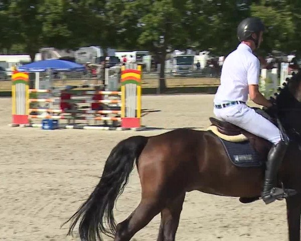 Reitturnier Rot am See- Musdorf 2019