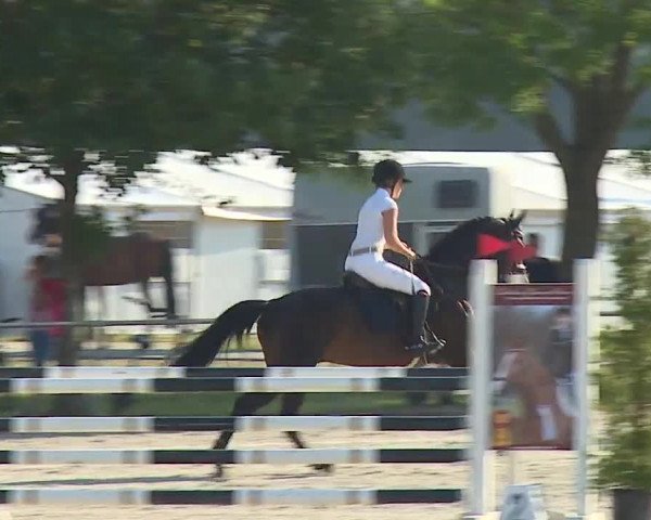 Reitturnier Rot am See- Musdorf 2019